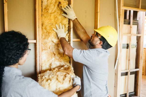 Best Commercial Insulation Contractor  in USA